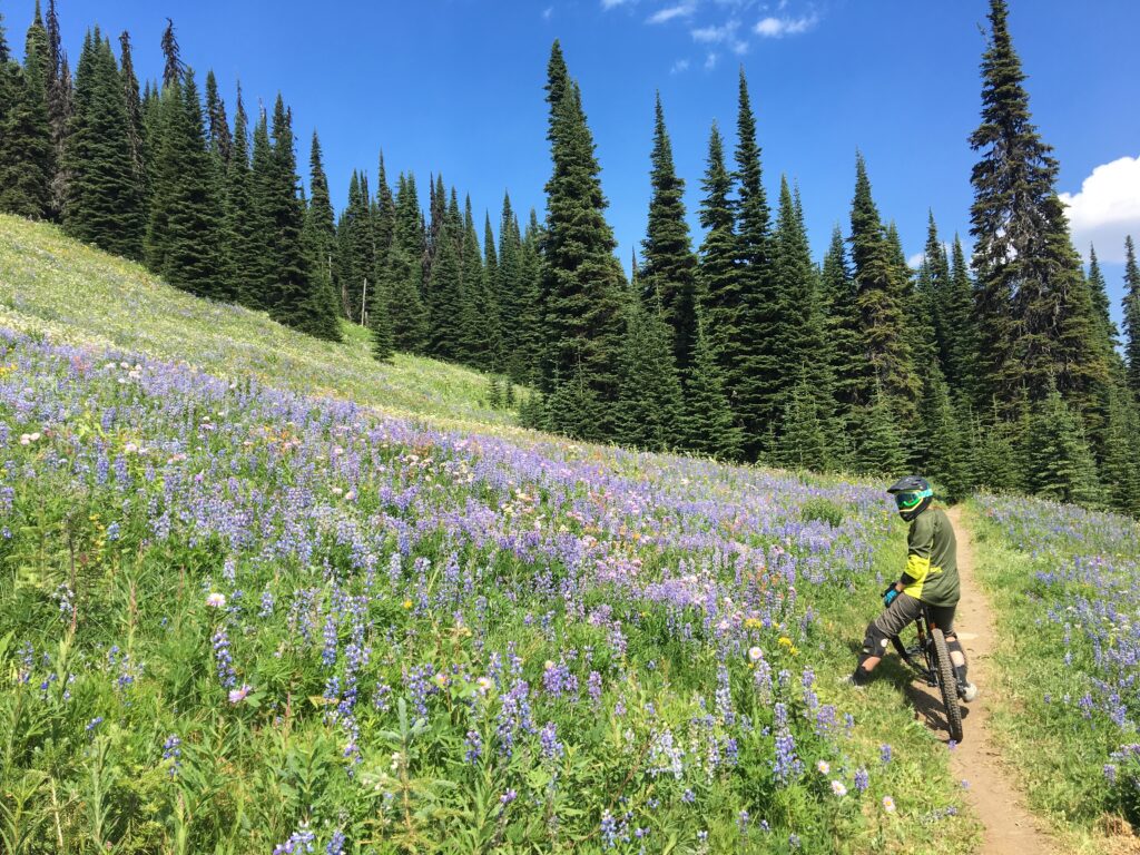 Sun Peaks Bikepark